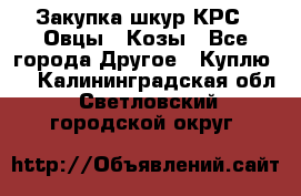 Закупка шкур КРС , Овцы , Козы - Все города Другое » Куплю   . Калининградская обл.,Светловский городской округ 